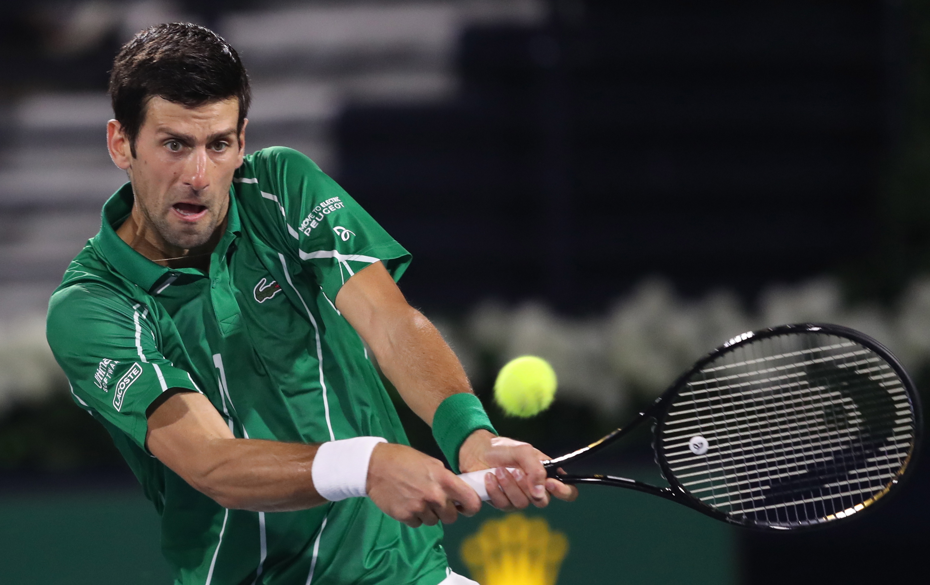 真正的答案 真正的答案